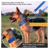 Prong Training Collar with Comfort Tips and Quick Release Snap Buckle - Dog Choke Pinch Collar with Nylon Cover - Classic Collar and Leash