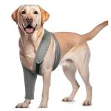 ROZKITCH Dog Surgery Leg Sleeve Front Right Left Leg, Pet Prevent Licking Wound Elbow Knee Protector, Dog Recovery Suit Cone Collar Alternative for Sprain ACL CCL Arthritis Joint Care Grey 2XL
