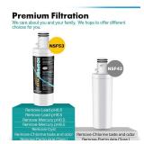 ICEPURE PLUS ADQ747935 NSF 53&42 Certified Replacement for LG LT1000P MDJ64844601, Kenmore Elite 9980, LT1000PC ADQ74793501 LT1000 RWF4700A RWF4700AB Refrigerator Water and LT120F Air Filter,2Combo