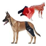 WENQUSEN Dog Acl Brace Hind Leg â Red Light Therapy for Dogs Professional Edition Dog Knee Brace for Torn Acl Hind Leg Accelerated Wound Healing Suitable for Mini Dogs ï¼37-72Lbï¼ï¼Bl