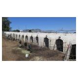 (20) Calf-Tel Hutches