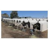 (22) Calf-Tel Hutches
