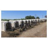 (21) Calf-Tel Hutches