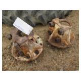 (2) Tractor Hubs