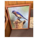4 piece picture group, birds, pillow