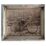 "Iced Over Bicycle" Picture