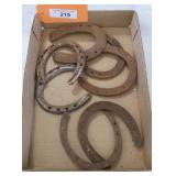 Assorted Horseshoes