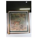 Signed & Numbered Print of Impala Charles Frace