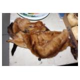 Vintage ferret fur stole