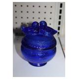 Westmoreland blue nesting birds