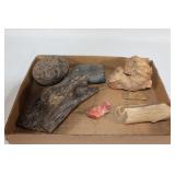 Fossilized Wood and Rocks