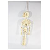 Small Resin Hanging Skeleton