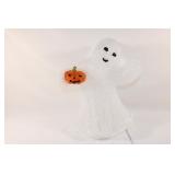 Light Up Acrylic Ghost with Pumpkin - works