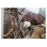 The Monarch is Alive