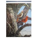 Cardinals by dawn artist proof