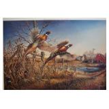 Homestead by James Meger sponsor edition