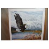 Wings over America an American Eagle