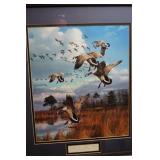 Canada Geese Atlantic Flyway