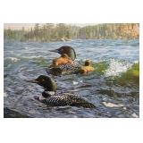 Rough Water Loons III by Bruce Miller