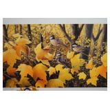 Maple Dwellers By Jeff Renner AP Remark