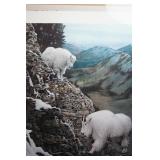 High mountain path mountain goats