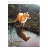 Under the Morning Star