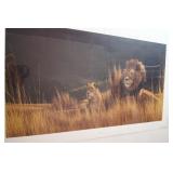 Storm Watch by Peter Skirka