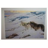 Pray for the Predator