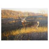 Zone 4 - Big Country Whitetails by Bruce Miller