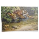 Tiger River by Lee Kromschroeder