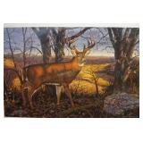 Zone 3 - Whitetail by Bruce Miller