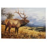 Bigsky Bugler by Bruce Miller