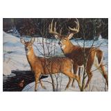 Zone 2 - Whitetail by Bruce Miller