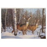 Zone 1 - Whitetail by Bruce Miller