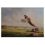 Pheasants on the Kasota Prairie by Jerry Radeke