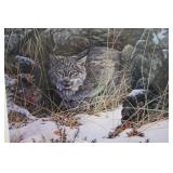 Secret Watch by Stephen Lyman