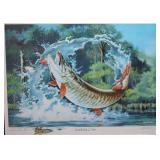 Cartwheeling Musky. Artist Proof Remark