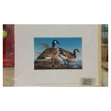 1981 Migratory Waterfowl Stamp LE