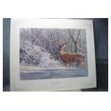 Winter Whitetail by Bruce Miller