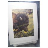 Witness of A Past - Bison by Carl Brenders