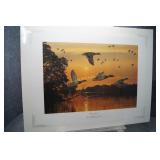 AP Minnesota Mallards by Bruce Miller