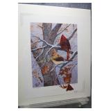 AP Misty Morning - Cardinals by Jeff Renner