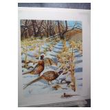 AP Among the Shadows by Jeff Renner