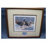 Alaska Water Fowl by David Smith