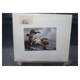 North Dakota Duck Stamp by David Maass