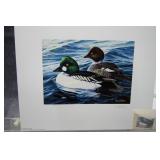 MN Duck Stamp Print by Van Gilder