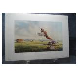 Pheasants on the Kasota Prairie by Jerry Raedeke