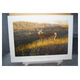 AP Zone 4 - Big Country Whitetails by Bruce Miller