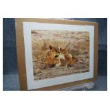 Midday Sun by Simon Combes