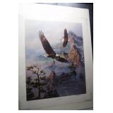 Soaring the Peaks by Rick Kelley